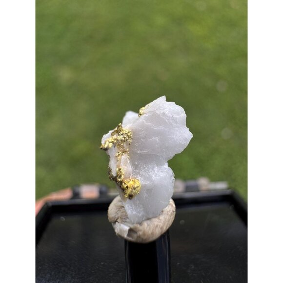 Gold on Quartz - Natural California Gold Specimen in Perky Display Box - #10 - Picture 4 of 4